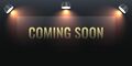 Thumbnail for version as of 11:19, 24 February 2026